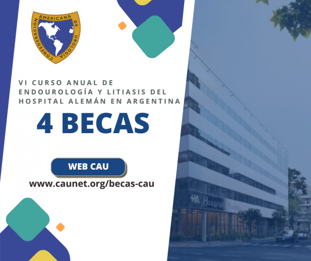 4becas vicurso