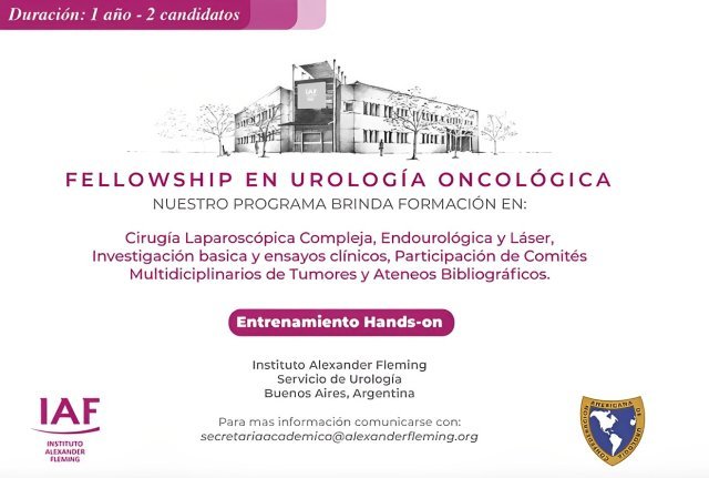 Fellowship Instituto Fleming - Argentina (mejorada)