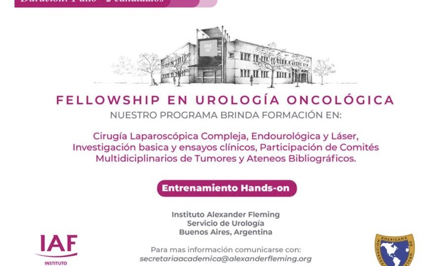 Beca-Fellow-IAF_CAU-2024-docx-Documentos-de-Google