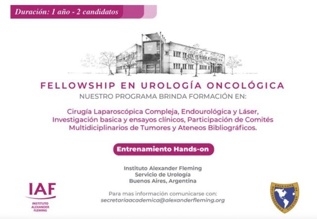 Beca-Fellow-IAF_CAU-2024-docx-Documentos-de-Google