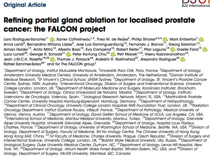 Refining-partial-gland-ablation-for-localised-prostate-cancer-the-FALCON-project-02-05-2025_10_17_PM