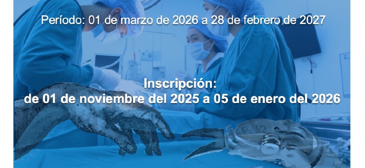 fellow 2026 flyer espanol